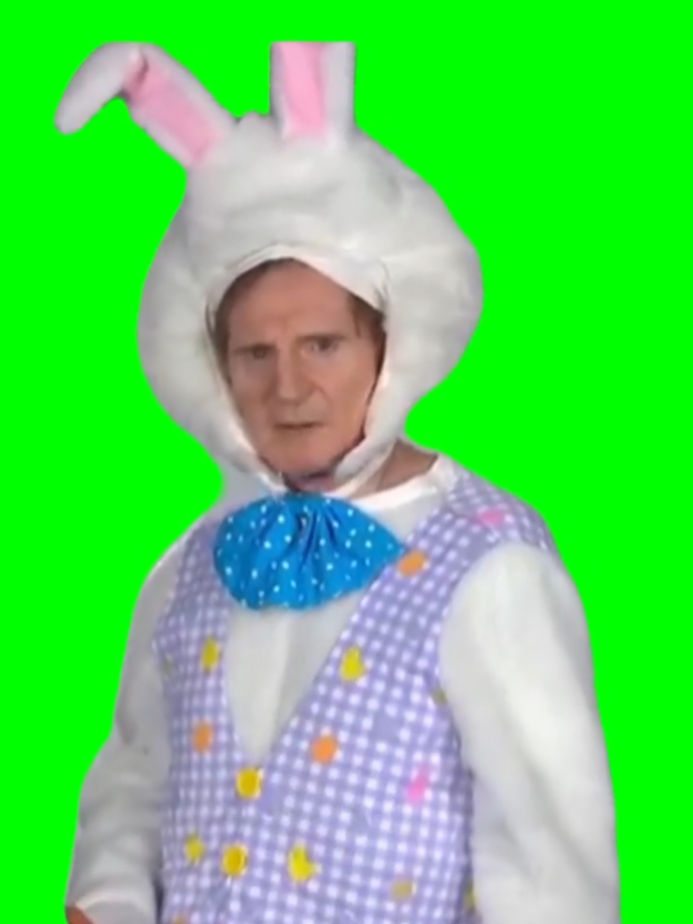 Liam Neeson Easter Bunny meme - Easter is on the way #easter #easterbunny #liamneeson #meme #memecut #CapCut 