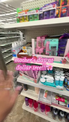 slayyyy dollar tree !🌸💖🎀 #dollartree #dollartreefinds #favlip #dollartreemakeup #affordable #affordablemakeup #affordablefashion #fyp #f #foryoupage #makeuphaul #makeup #makeuptok #affordable #part2 #affordablefashion #affordablemakeup #affordableskincare #grwm #haul #haultok #hauls #shop #shopwithme #comeshopwithme #shoptok #grwmtok #mothersday #mom #gift #mother #motherhood #giftidea 