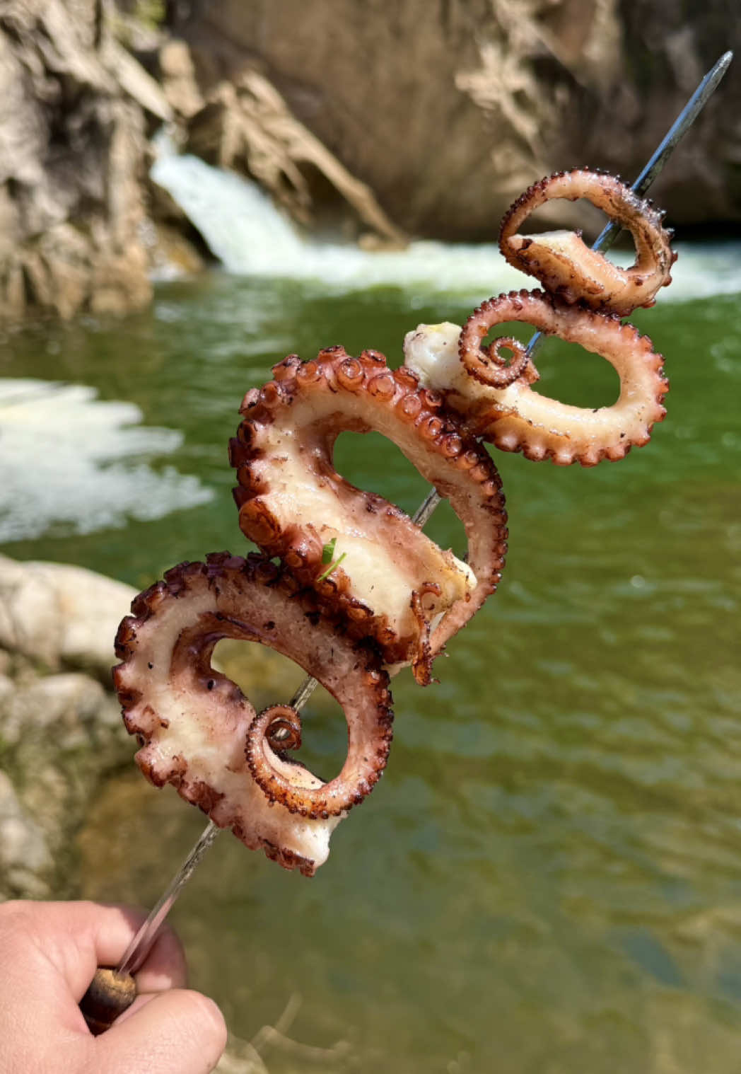 🇬🇷 Χταπόδι σε πίτα με λαδολέμονο 🔥⚔️ • Octopus pita wrap with lemon-olive oil dressing  #outdoorcooking #Outdoors #wilderness #octopus #lemonoliveoil #pita #food #fyp 