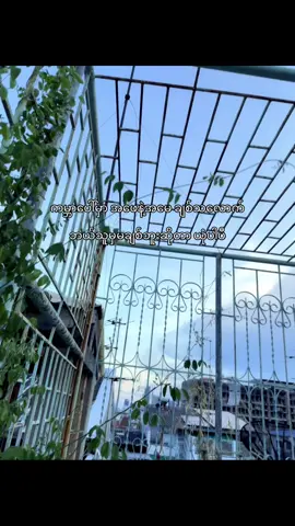 #foryou #fyp #crd #views #fyppppppppppppppppppppppp 