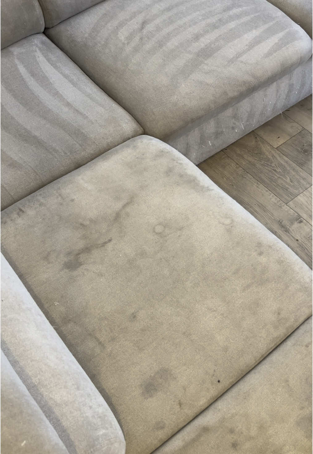 Satisfactory extraction from this sofa 🤮🤮 #extractions #satisfyingvideos #CleanTok #asmr #satisfying #detailing #cleantok 