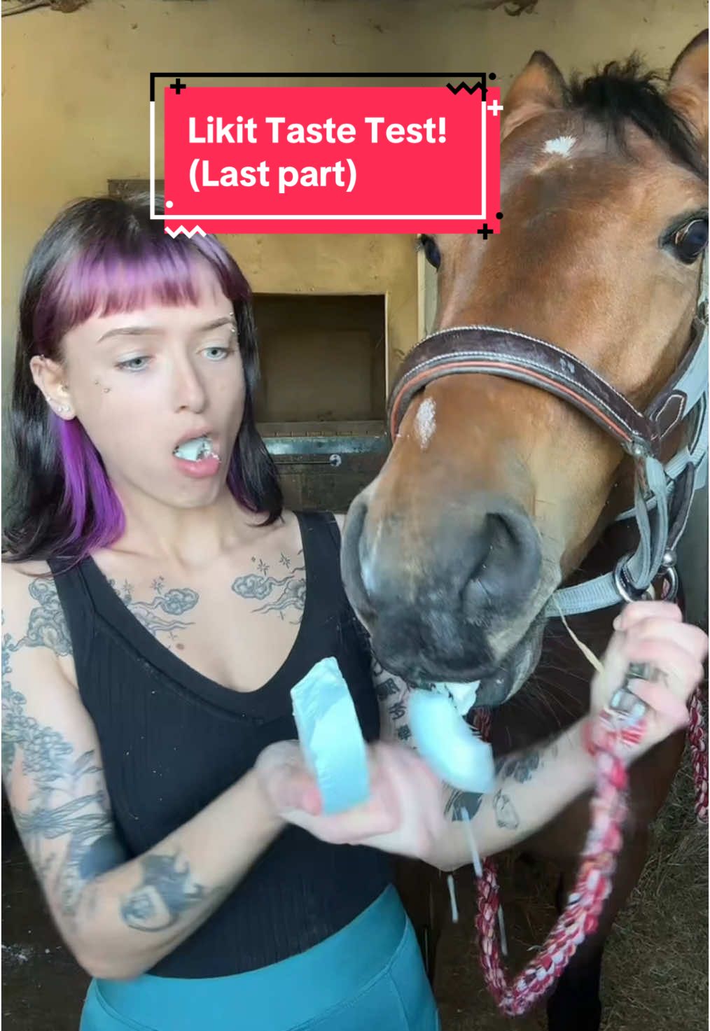 graze paste caught me off guard IB: @Ellie Bellis Showjumping #horse #equine #equestrian #horseriding #horsetok #horsegirl #horsesoftiktok #equestrianvibes #equestriantiktok #fyp #foryou #abcxyz @Likit Products 