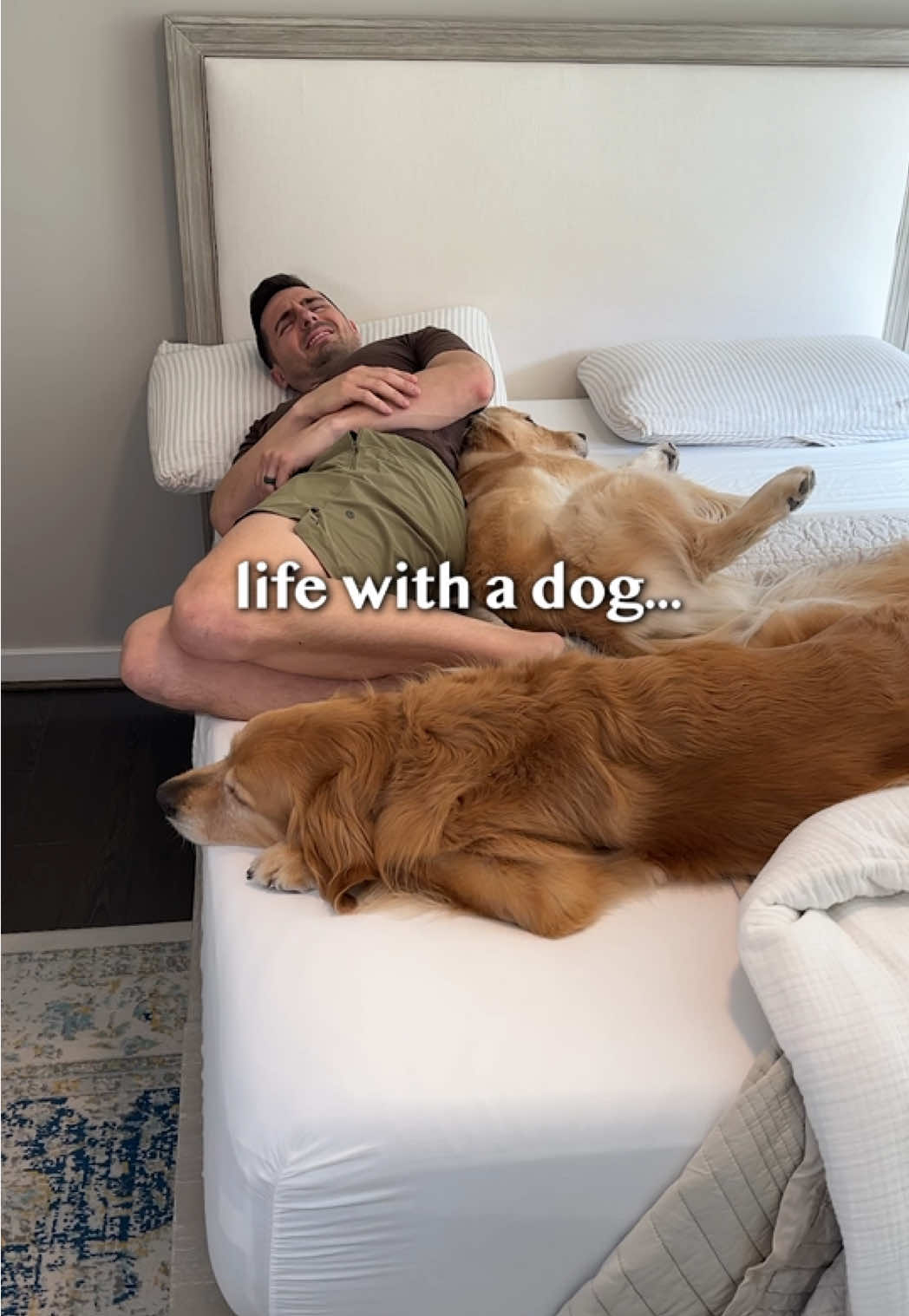 Life with a Dog... and I wouldn't change it for the world!