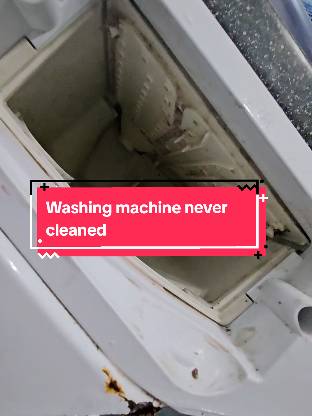 I didn't get to do a video on me deep cleaning as I was short on time but this is always a reminder to CHECK EVERYTHING when you move into a new place🤢 #CleanTok #clean #landlord #newhome #deepclean 