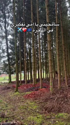 #بلجيكا🇧🇪_بروكسيل_المانيا_فرنسا_هولندا🇳🇱 #بلجيكا🇧🇪_بروكسيل_المانيا_فرنسا_هولندا❤ #فرنسا🇨🇵_بلجيكا🇧🇪_المانيا🇩🇪_اسبانيا🇪🇸 #بلجيكا🇧🇪_بروكسيل_المانيا_فرنسا_هولندا #غربه_وطن💔غربه_اهل😭💔 #غربة_صعيبة_وانا_بغيتها🇪🇺🇪🇺❤ #اليونان_اثينا_سالونيك_هولندا_المانيا #مشهدات_تيك_توك #اكسبلورexplore❥🕊 #_ولايك_واكسبلور_احبكم🥺بدكم #fypシ  @عبد المهيمن العماري  @waled.alloll.🇪🇬  @﮼محمد﮼توفيق  ✈︎ 