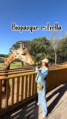 Bioparque 10 /10 ✨ #bioparqueestrella #bioparque #safari #zoo #adondeir #adondeircdmx #cdmx #recomendaciones #lugaresparavisitar #pueblosmagicos #viajes #jirafas #atracciones #capibaras #planesconniños #planesenpareja 
