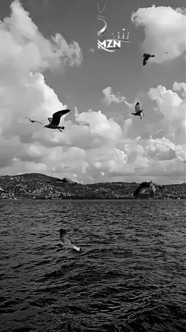 Aynen öyle...🍂📌#anlamlıvideolar #duygusalvideolar #rmzn 