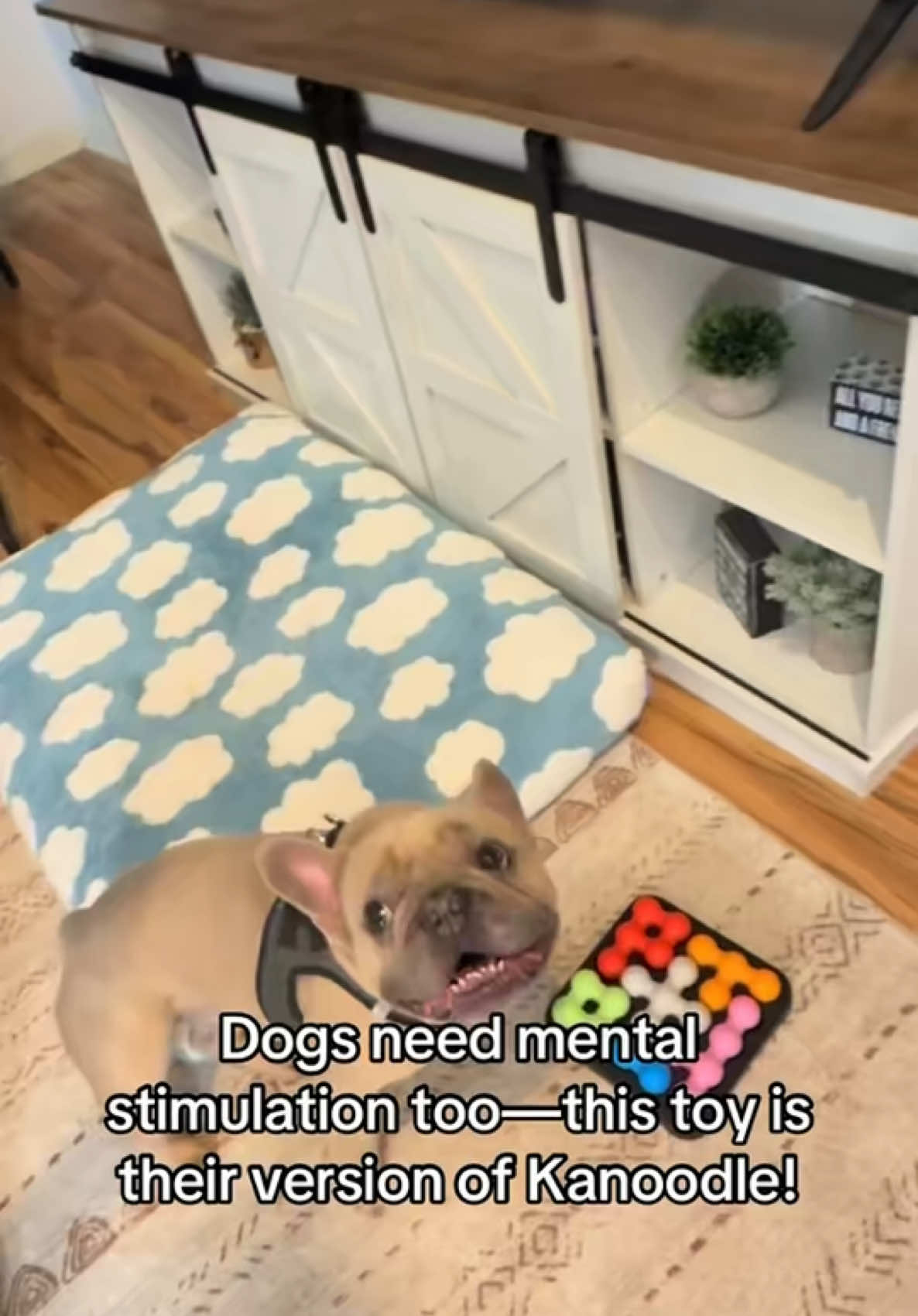 I think my dog is smarter than my ex.. @Educational Insights #kanoodle #brightkinspets #kanoodleofficial #kanoodlechallenge #dogs #dogpuzzle 