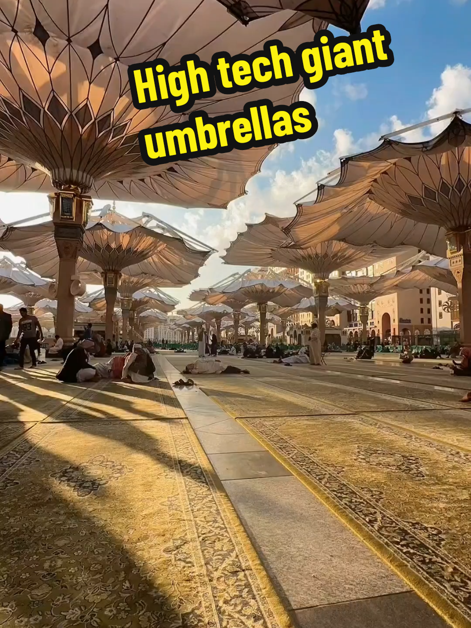 High tech giant umbrellas #history #engineering 