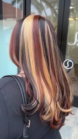 🐈🐈🐈  calicohair4ever  #fyp #foryoupage #foryou #losangeles #lahairstylist #calicohair #hairinspo #calico #chunkyhighlights #sangabrielvalley 