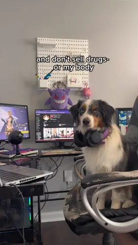 I should just quit  #fyp #funnydogs #dogsoftiktok 