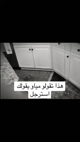 #fyp #viral #fyppppppppppppppppppppppp #الشعب_الصيني_ماله_حل😂😂 