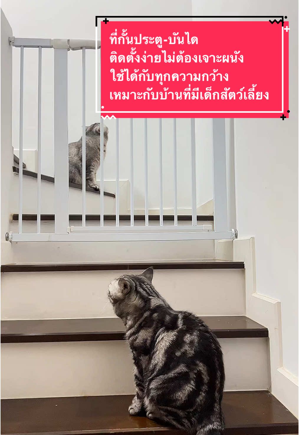 ที่กั้นตกประตู-บันได ไม่ต้องเจาะผนัง ! เหมาะกับบ้านที่มีเด็กเล็กหรือกันบริเวณสัตว์เลี้ยง ✨#ที่กั้นประตู #ที่กั้นบันได #ที่กั้นบันไดกันตก #แม่และเด็ก #แม่และลูก #แม่และเด็กอ่อน #ของใช้เด็กอ่อน #ของใช้แม่และเด็ก #ของดีแม่และเด็ก #ของใช้สัตว์เลี้ยง #คอกกั้นเด็ก #ป้ายยา #ฉากกั้นห้อง #สวนสัตว์tiktok #สัตว์เลี้ยงtiktok #ทาสแมว #ทาสหมา #tiktokป้ายยา #tiktokshopครีเอเตอร์ #tiktokshopช้อปกันวันเงินออก #CapCut 