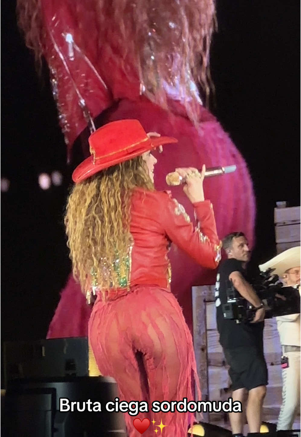 Quién así 😌😜? #shewolf #shakifans #shakira #lmynlworldtour #lmynlworldtour #medellincolombia #fypシ゚ #viral #dreams #ciegasordomuda 