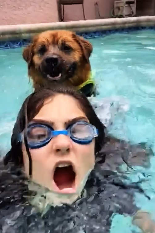It’s okay,it’ll be over soon.😂🐕#dogsoftiktok #cute #dog #funny #TikTok 