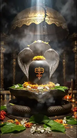 OM NAMAH SHIVAYA #fypシ゚viral🖤tiktok #fyppppppppppppppppppppppp #life #tamil #worldwide #fyp #whatsappstatusvideo #whatsapp #whatsappstatus #lord #hindu #lordshiva 