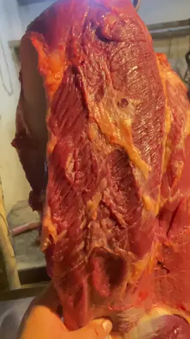 🥩#dagingsapi #tukangdagingsapi #tukangdagingsapiseger #🥩🥩🥩🥩 #daginglokal #dagingsapipurwakarta #fyppppppppppppppppppppppp #dagingfresh #purwakarta #dagingsuper #daging #ddkbutchershop #pasarsenenpurwakarta #fyp #dagingsapilokal 