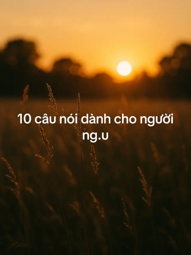 10 câu nói dành cho người ng.u. Hy vọng ai đó sẽ và có thể giúp họ tốt hơn trong cuộc sống#virall #quote #chiasekinhnghiem #trietlycuocsong #trendin 
