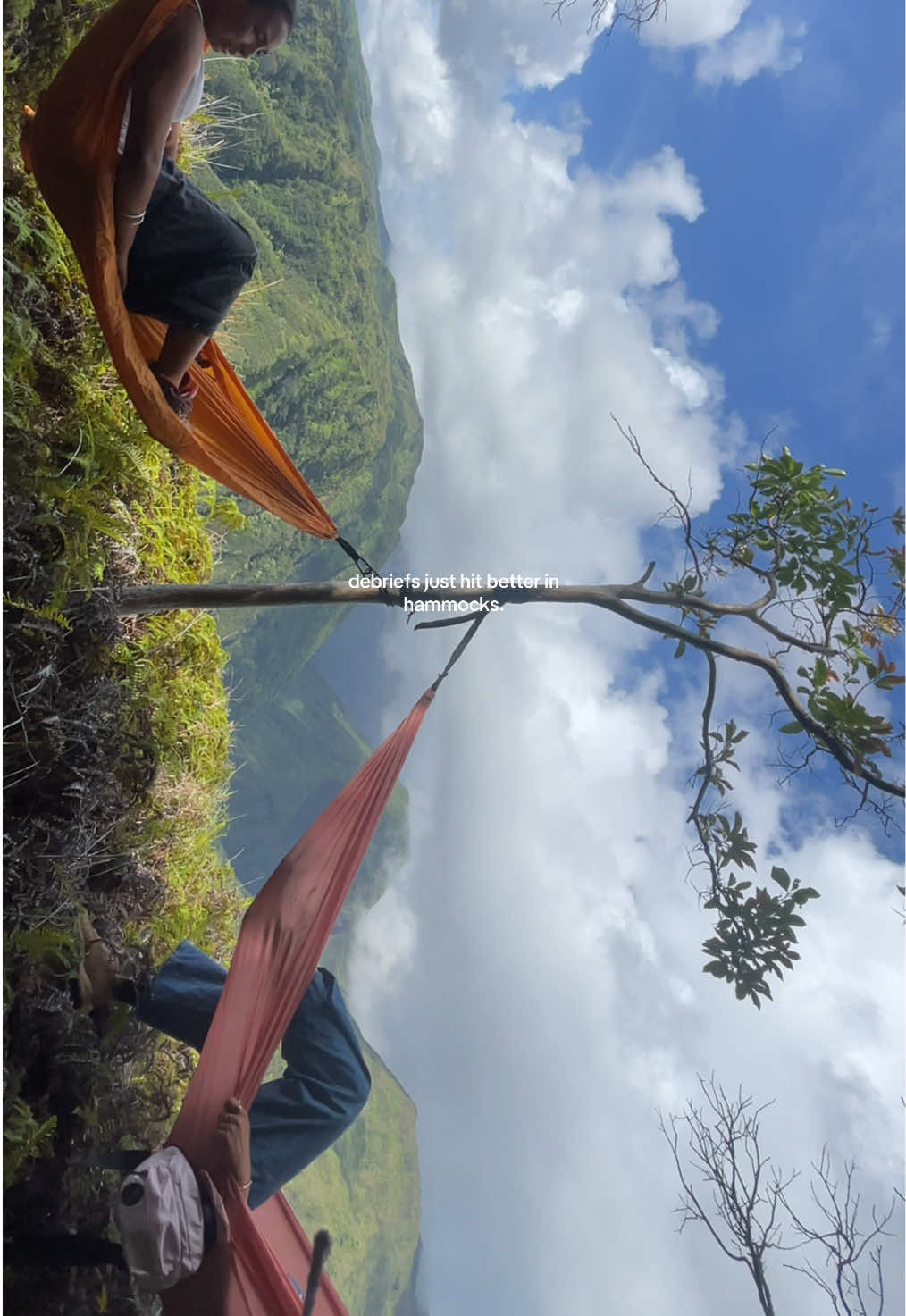 tag a friend you need to do this with #fyp #foryou #viral #bsf #hammocking 