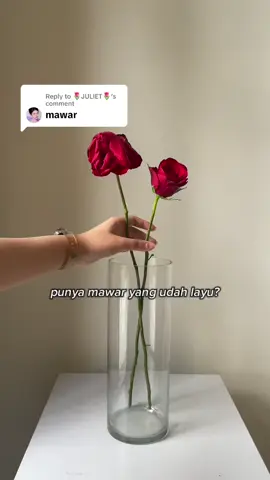 Replying to @🌷JULIET🌷  mawar fresh kembali juga bisa lohhhh🙈🤭