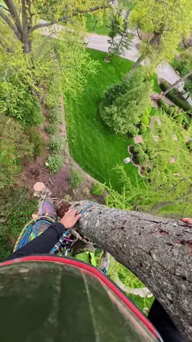 #treework #petersling #arbortec  🌳🌲🤙🏼