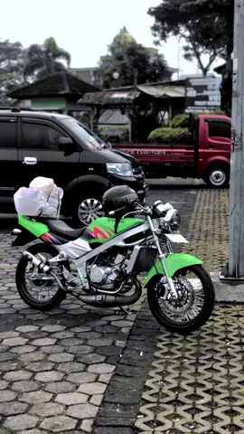 Bertahan di kiss di era gempuran super kips#ninjakisslovers150 