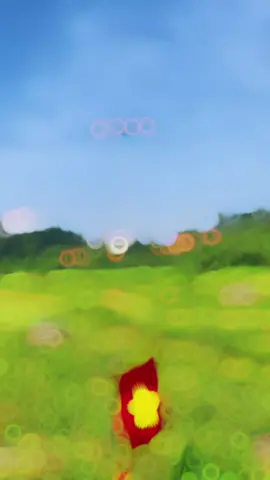 demo kỷ niệm 50 năm giải phóng miền nam #xuhuong #flycam 