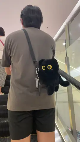 kawaaiii cat shoulder bag 😻#cat #catsoftiktok 