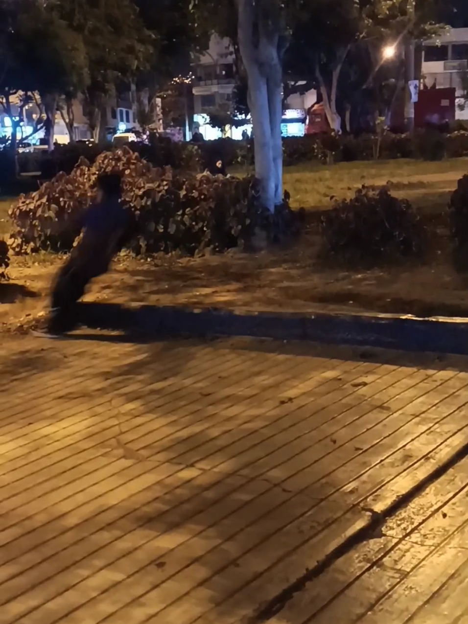 Ya levántatee 😛 #skate #Skateboarding #skateboard #Skate #skateboard #parati #paratii #paratiiiiiiiiiiiiiiiiiiiiiiiiiiiiiii #paratiiiiii #paratiiiiiiiiiiiiiiiiiiiiiiiiiiiiiiiiii🦋 #pinchetiktokponmeenparatii #pinchetiktokponmeenparatialav #fyp #fyppppppppppppppppppppppp #fypシ゚ #holasoytobiaswilson #memestiktok #Meme #viraal #caida #caidas #caidasgraciosas #skatecaidas #Fail #skatefail #skatefails #failskate #viraaaaal #viraaaaaaaaaaaaaaaaaaaaaaal 