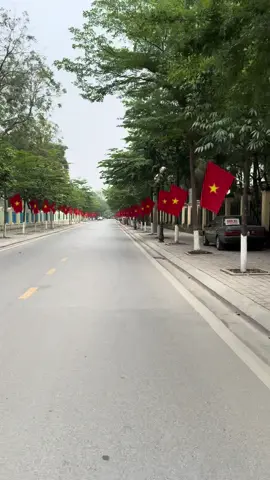 Đoạn đường đẹp nhất #HuyệnĐanphượng#lácovietnam #cờvietnam #cờdỏ 