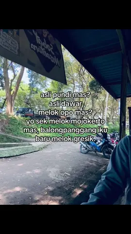 dawar lor e alas🖐🏻😂  #mojokerto24jam #gresik24jam #dawarblandong #fyp 