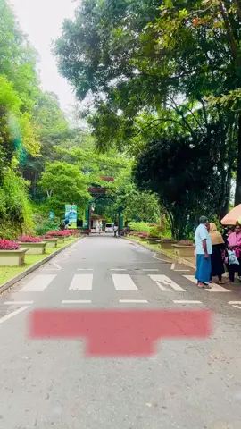 #creatorsearchinsights #ambuluwawatower #traveltiktok #travellife #traveldiaries #fyppppppppppppppppppppppp #viralvideo #srilanka #fyppppppppppppppppppppppp #worldwide #foryoupage #trandingvideo #followers #fypシ゚ #foryou 