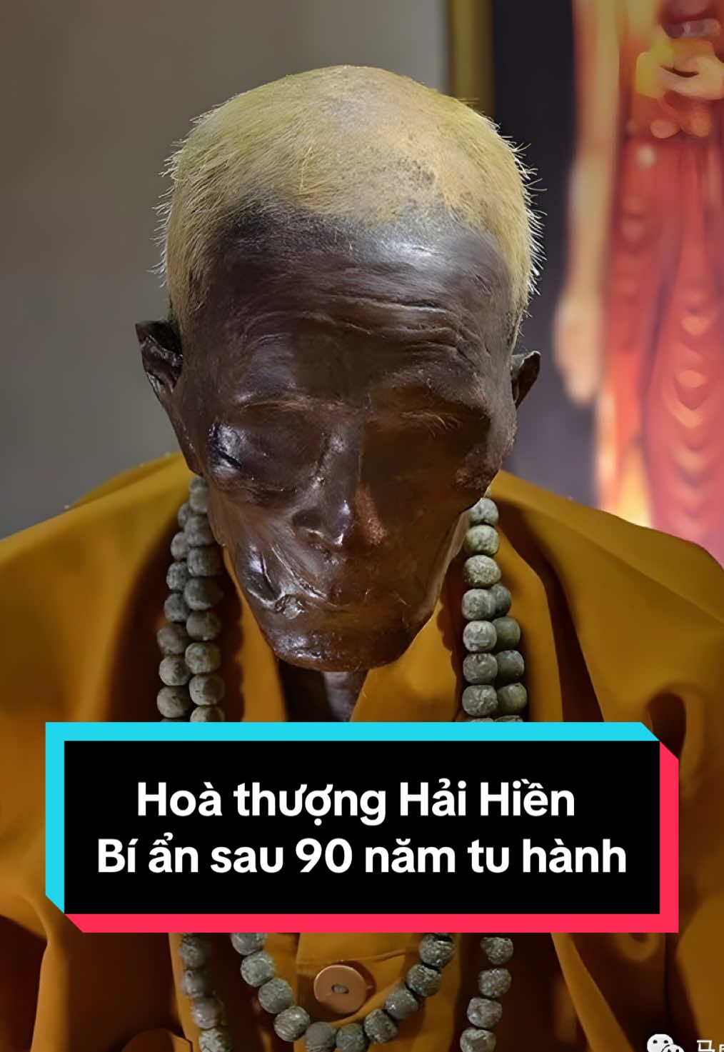 Hoà thượng Hải Hiền - Bí ẩn sau 90 năm tu hành? #hoathuonghaihien #phatphap #adidaphat #minhantamnhan 