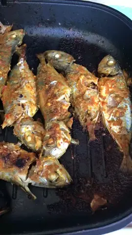 menu hari ini 🤪