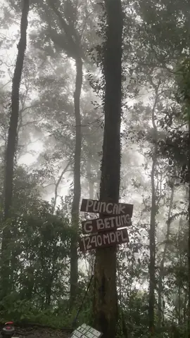 vibes kabut dipuncak betung berasa di dunia lain #pendakigunung #gunungbetung #fyp 