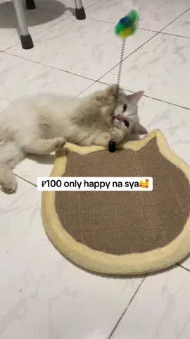 Renna's Cat Scratcher For Cat #catsoftiktok #catscratcher  #catscratchingpost #catscratch #cattoy 