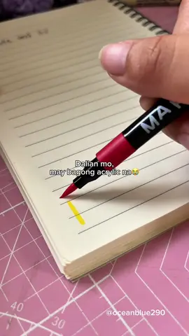 #acrylicbrush #brushpen #handlettering #schoolessentials 