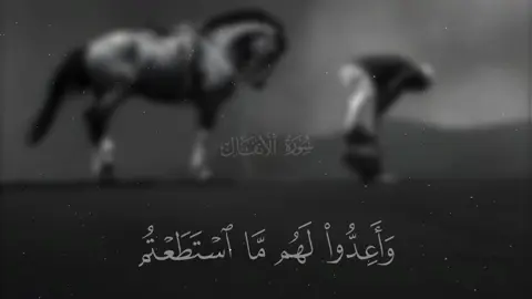#الشيخ_محمد_اللحيدان_حفظه_الله #محمد_اللحيدان #قران #قران_كريم #قران_كريم_ارح_سمعك_وقلبك #quran #قران