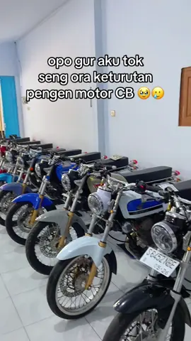 Mak CB mak 🥹😭 minat CB nomor WA ada dibio @Sam Huda Lumajang @TEAM SAM HUDA #samhudalumajang #teamsamhuda #mpwijaya #fyp 