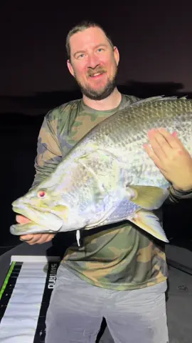 Golden hour. Giant barramundi. Lake Monduran delivering once again #queensland #australia #fishing #fishtok #Outdoors #foryoupage #charterfishing #SmallBusiness #xybca #explore #weekend #sport #fishinglife #night 