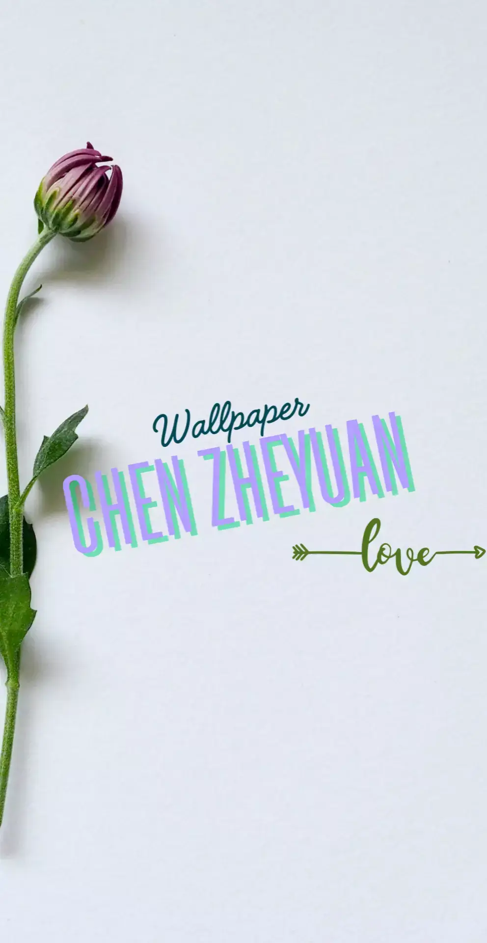 wallpaper versi Chen zheyuan 🤩✨ #chenzheyuan #chenzheyuan陈哲远 #duanjiaxu #aktorchina #wallpaper #xyzbca #fyp #masukberanda #explore #4u 