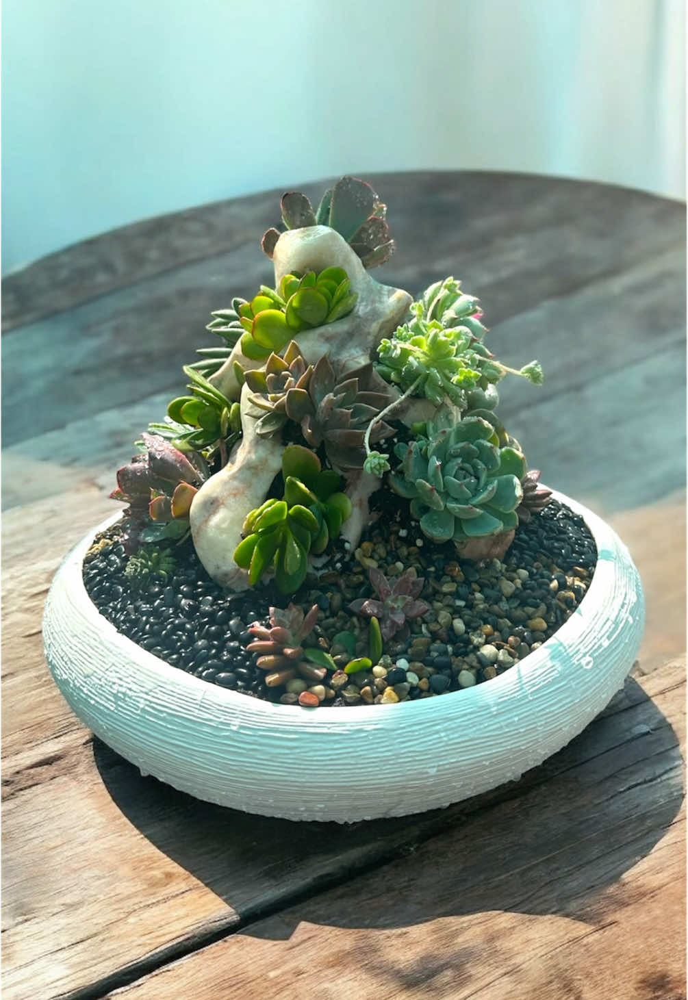 When nature meets elegance — a succulent creation set in real onyx stone. Wait for the details! #SucculentTok #PlantTok #SucculentArrangement #OnyxStoneArt #HomeDecorInspo #DIYPlanter #AestheticVibes #SmallBusinessTok #NatureInYourHome #FYP