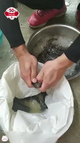 Các chị em yêu ăn tôm có may mắn rồi🎊！Dùng dao kéo sợi tôm này, tiết kiệm thời gian và sức lực cực kỳ nhiều đó😎！