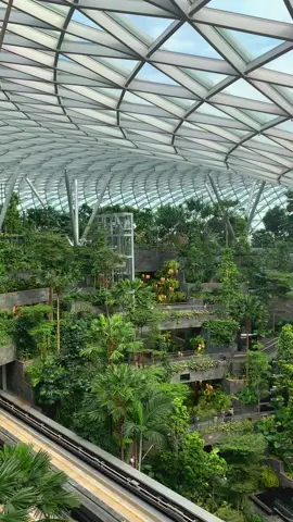 The Rain Vortex, the world tallest indoor waterfall ✨🥰📍Jewel Changi Airport #wheninsingapore2022🇸🇬 #changijewelwaterfall #changiairport #rainvortex #waterfalls #fyp #fypシ゚ 