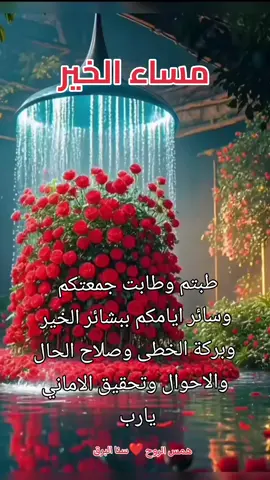 #CapCut #همس_الروح♡سنا_البرق #مساء_الخير #جمعة_مباركة #كلام_من_القلب #العراق #مصر_العراق_السعودية_تونس_المغرب_الجزائر #اكسبلورexplore #اكسبلوررر 