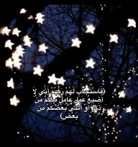 أكتب شيء تؤجر عليه #صدقة_جارية_لوالدي_وللمسلمين_والمسلمات #قران_كريم #قران #استغفروا_ربكم_انه_كان_غفارا #viraltiktok #foryoupage #fypシ #foryou #قرآن #foryou #fypシ゚viral 