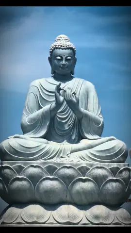 Sống một kiếp người, Không cần cao sang, chỉ cần lương thiện. Không cần hơn thua, chỉ cần từ bi. Nhân quả không đợi kiếp sau. Mỗi suy nghĩ, mỗi hành động hôm nay... đã là hạt giống cho ngày mai. Thế nên, Nếu còn được sống, hãy sống hiền. Nếu còn được yêu thương, xin đừng hoài nghi. Nếu còn được ở bên nhau, hãy thương cho trọn vẹn. Vì một đời người, là cơ hội quý báu để học cách làm người tử tế... #CapCut #phatphapnhiemmau #nammobonsuthichcamauniphat #xuhuong #viral #tutam #nguoiviettaimy🇻🇳🇺🇸 #adidaphat #thayminhniem 
