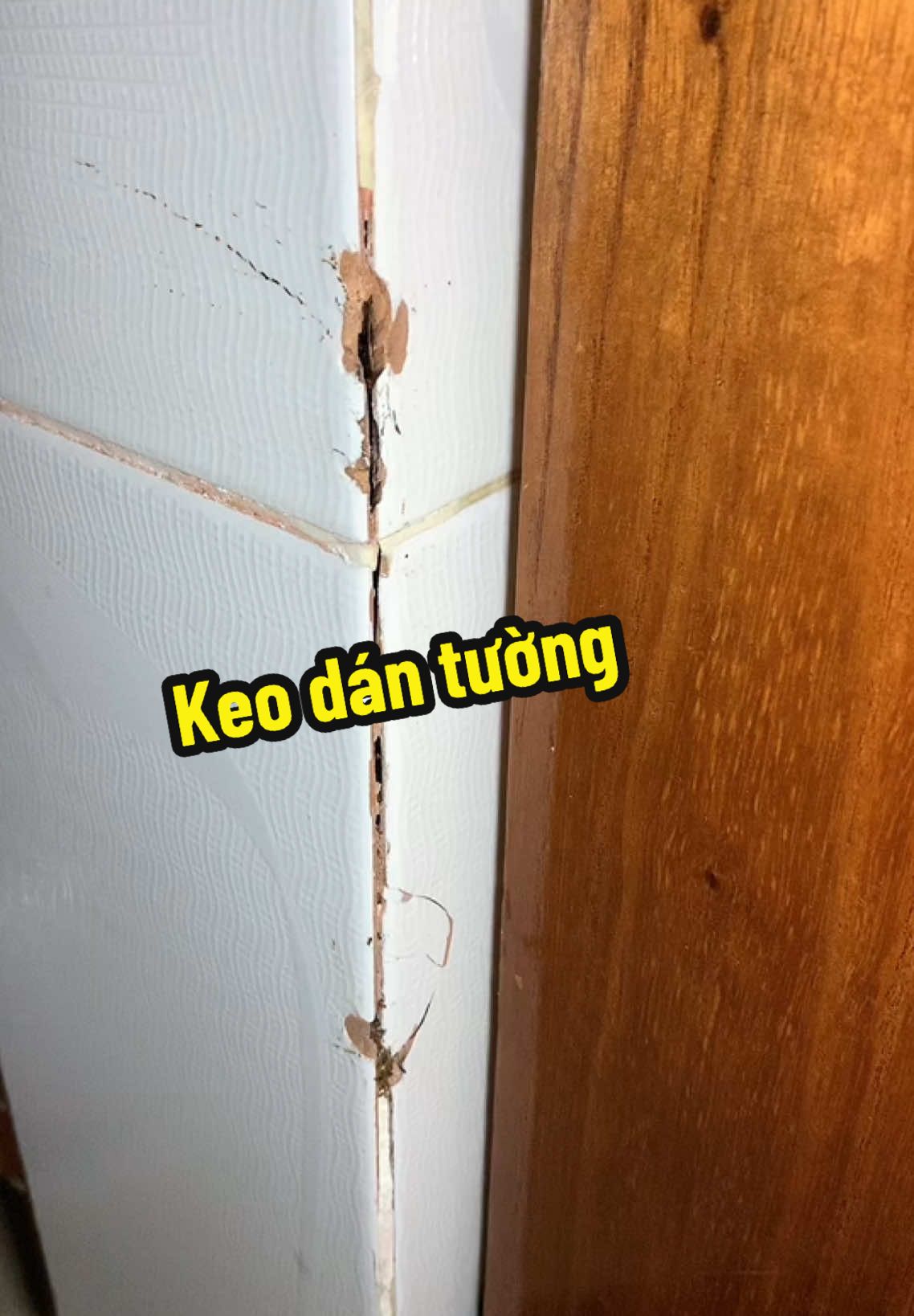 Keo dán tường 3in 1 #keodantuong #keovatuong #suanha #xuhuong #giadungtienich 