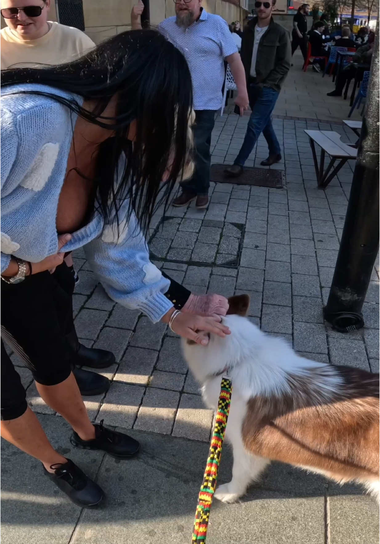 Interactions with my dog!!  #pets #sheffield #viral #fyp #doglover #violasnow #dogs 