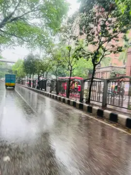 বৃষ্টির পানে আকাশে চেয়ে তোমাকে আমি খুঁজবো না! আকাশের পানে চেয়ে চেয়ে ভালোবাসি তা বলব না! #rainyday💦💦☔️☔️🌧 #growmyaccount #foryou 